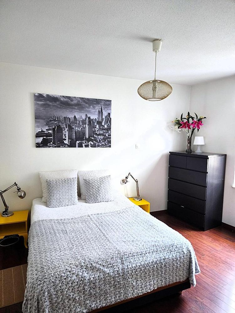 Appartement 3 Pieces, Krutenau, Parking Prive Štrasburk Exteriér fotografie