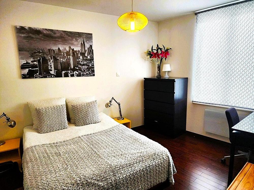 Appartement 3 Pieces, Krutenau, Parking Prive Štrasburk Exteriér fotografie
